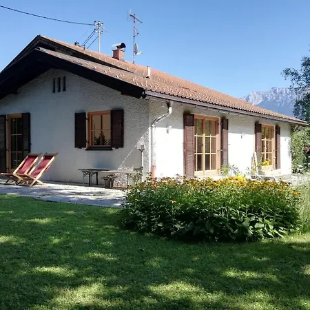 Bergahorn Oberaudorf