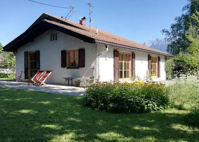Bergahorn Oberaudorf